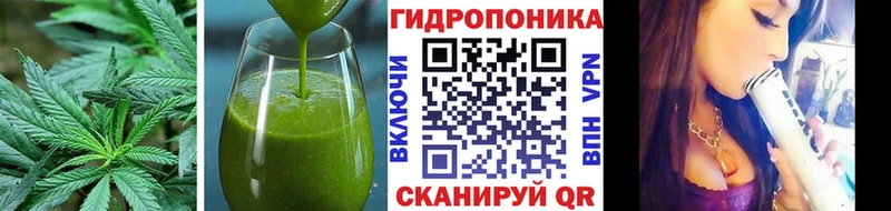 купить наркоту Кирово-Чепецк Cannafood конопля