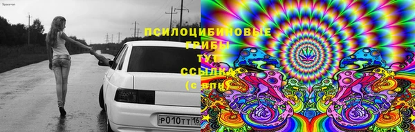 2c-b Аркадак