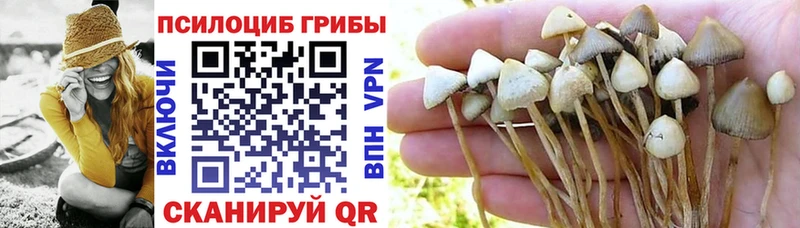 Галлюциногенные грибы Psilocybine cubensis  Кирово-Чепецк 