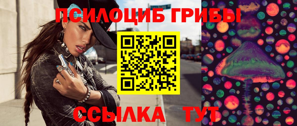 Псилоцибиновые грибы Psilocybe Кирово-Чепецк